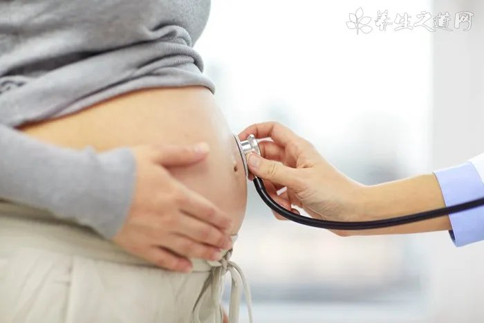 导致猫咪减肥的原因有哪些？怎么解决？