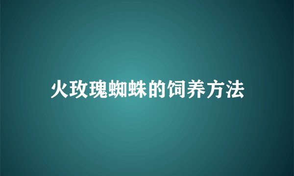 火玫瑰蜘蛛的饲养方法