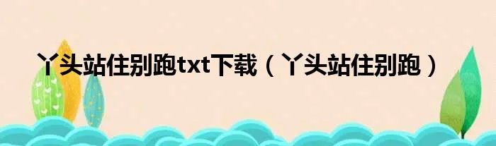 丫头站住别跑txt下载（丫头站住别跑）