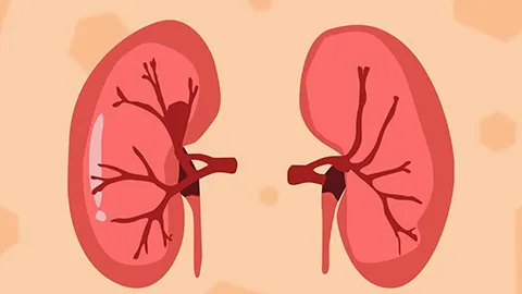 肾部有囊肿是怎么回事