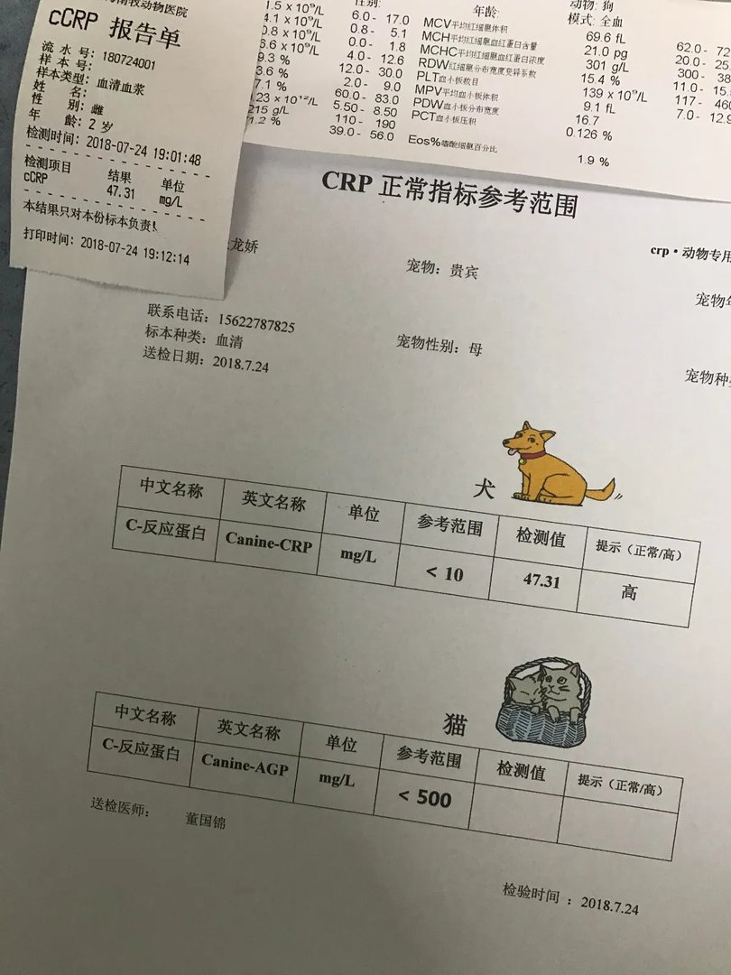 广州哪家宠物医院好