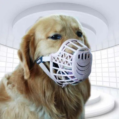 我家藏獒咬过一个七八岁的小女孩,我出钱给她打了狂犬疫苗和医疗费,所以我用链子拴了它两年多,平常?