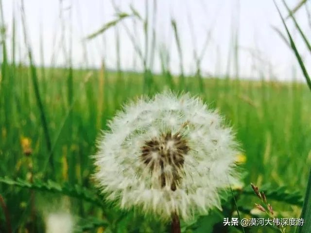 沙漠罕见8月降雪