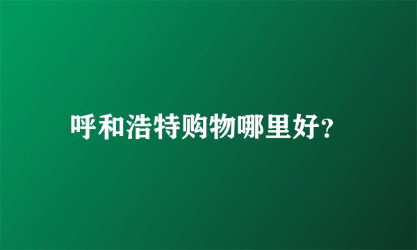 呼和浩特购物哪里好？