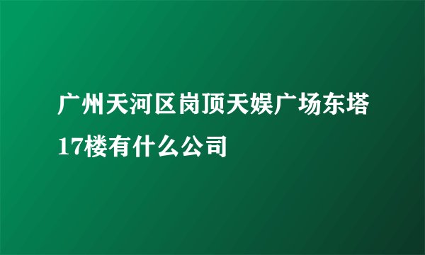 广州天河区岗顶天娱广场东塔17楼有什么公司