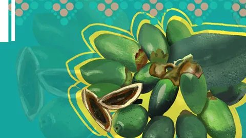 吃槟榔会影响生育吗