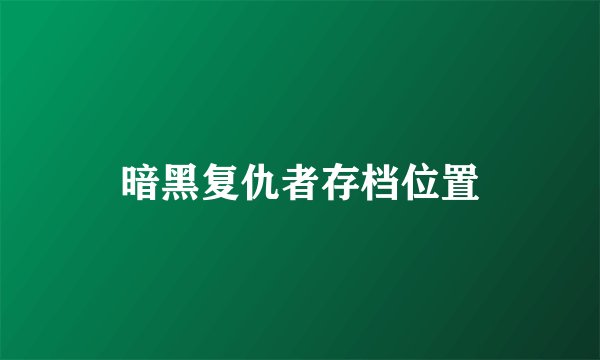 暗黑复仇者存档位置