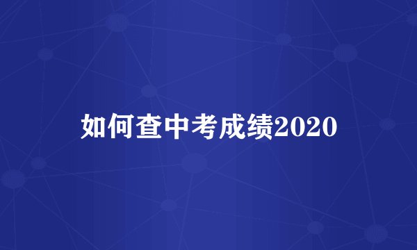 如何查中考成绩2020