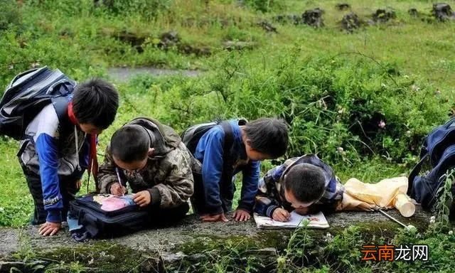 十年树木的下一句，怎么理解十年树木百年树人这句话