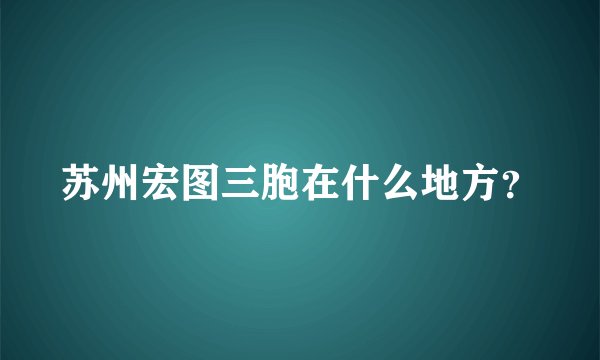 苏州宏图三胞在什么地方？
