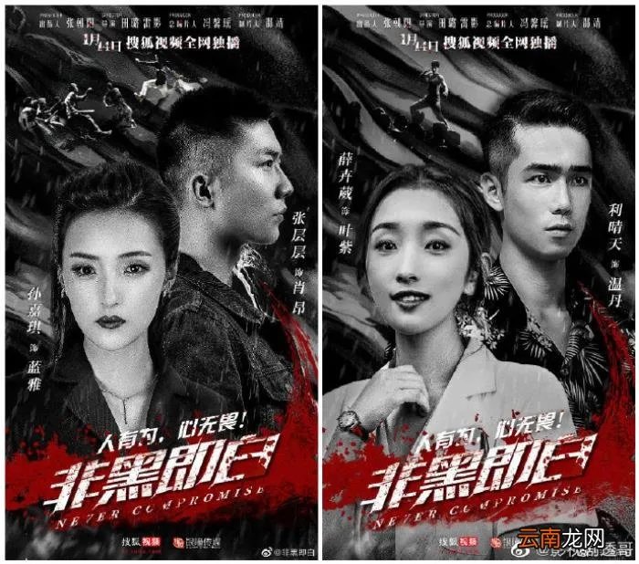 有部是娄艺潇主演的 娄艺潇电视剧