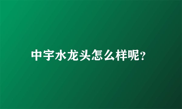 中宇水龙头怎么样呢?