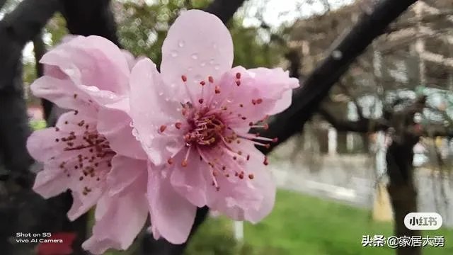 湖北省什么时候可以解除封锁？