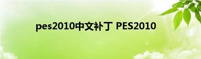 pes2010中文补丁 PES2010