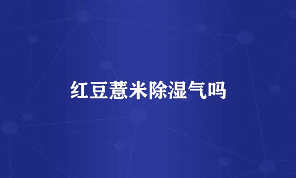 红豆薏米除湿气吗