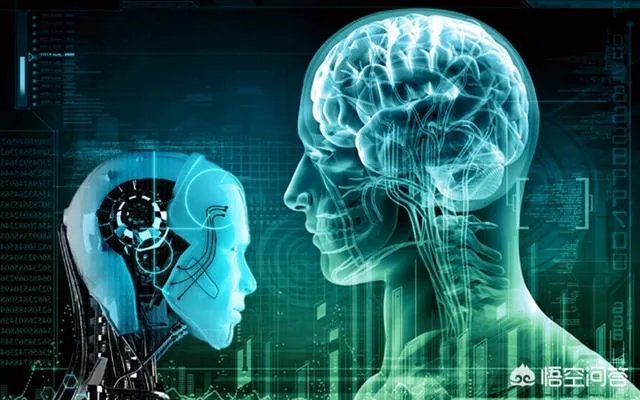 成功“复活死亡猪脑”有什么意义？