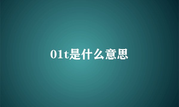 01t是什么意思