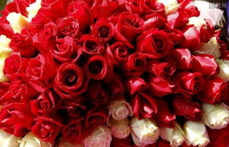 校长见证情侣表白 网友大呼校长请勿虐狗