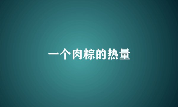 一个肉粽的热量