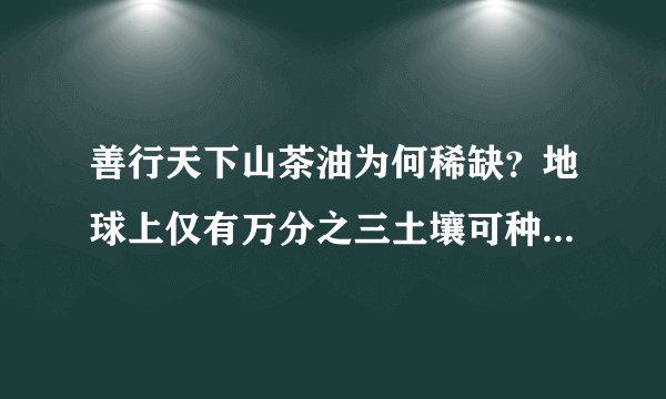 善行天下山茶油为何稀缺?地球上仅有万分之三土壤可种植油茶树