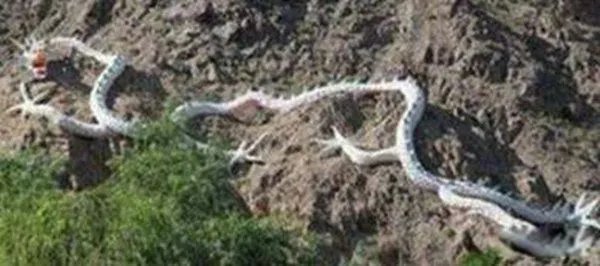 三峡是堵四川龙脉的吗 水库放水三峡发现一条受伤真龙