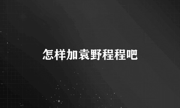 怎样加袁野程程吧