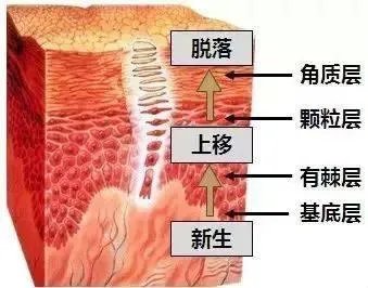 角质护理就是单纯的去角质吗?应该怎样做角质护理?