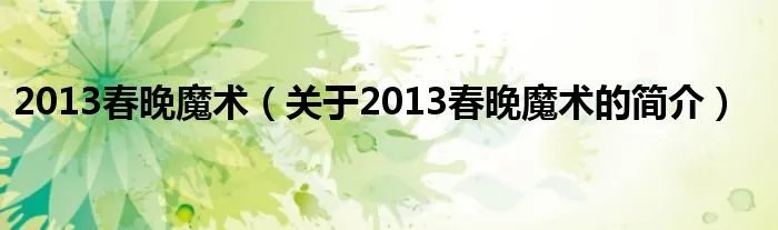 2013春晚魔术（关于2013春晚魔术的简介）