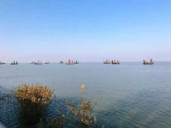 轿车坠湖 两工人用挖掘机接力救人