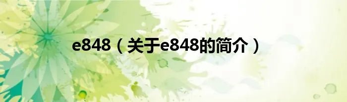 e848（关于e848的简介）